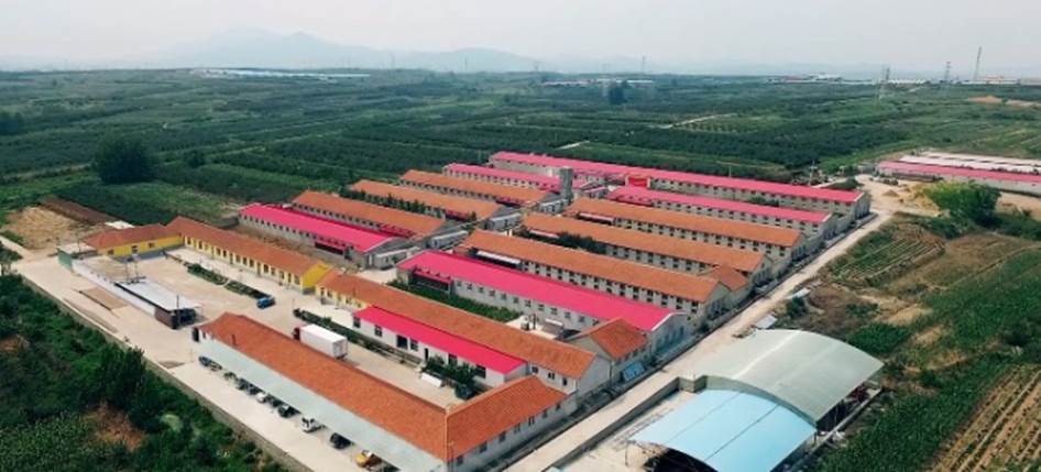 2023-07-28 13:31:29.697000