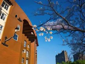 4ebb37fa7461b8cc4d4be50ceaede14