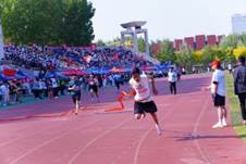 8eeff39113f9aa5df232a28a18d80fd