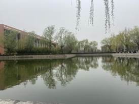 0622d85f71454441579e63cdcfffe9d