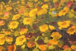 ec4725579e7725c5d0a1438db086e1d