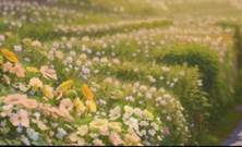 563dd249ec8e1c46679de60af79b1bd