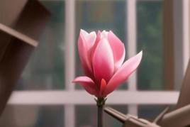 949ffc71bb2a7bc9ccac8bcbb2d1293