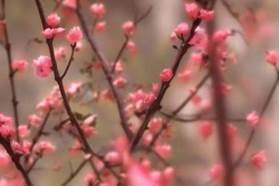 d76c1c66ca8205dcfdf97484e9bcf63